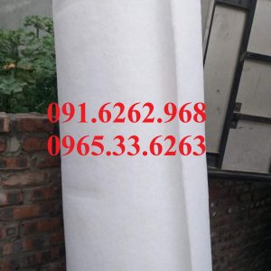 Mua Bông Lọc Ở Đâu